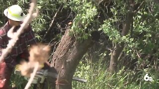 Twin Falls BLM preparing for fire season with power saw training