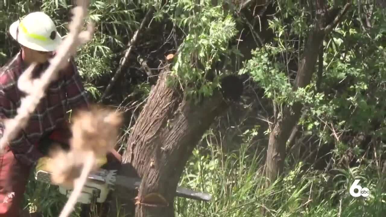 Twin Falls BLM preparing for fire season with power saw training