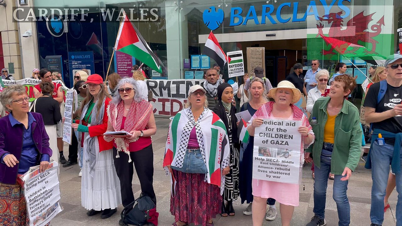 Protest For Palestine. Working Street Cardiff