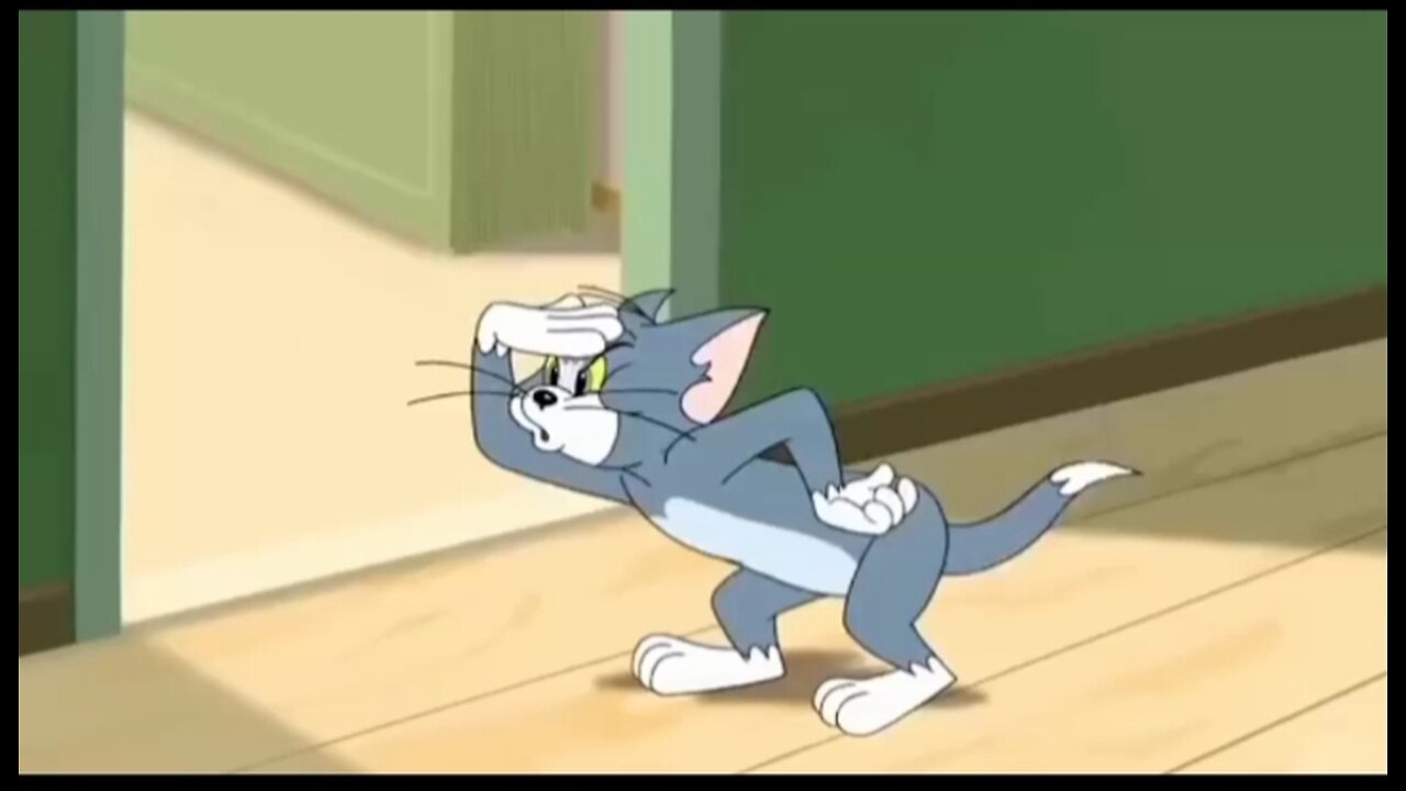 Tom And Jerry Fight