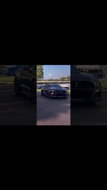 Final Boss #ford #mustangsociety #fordperformance #fordracing #shelby #shorts
