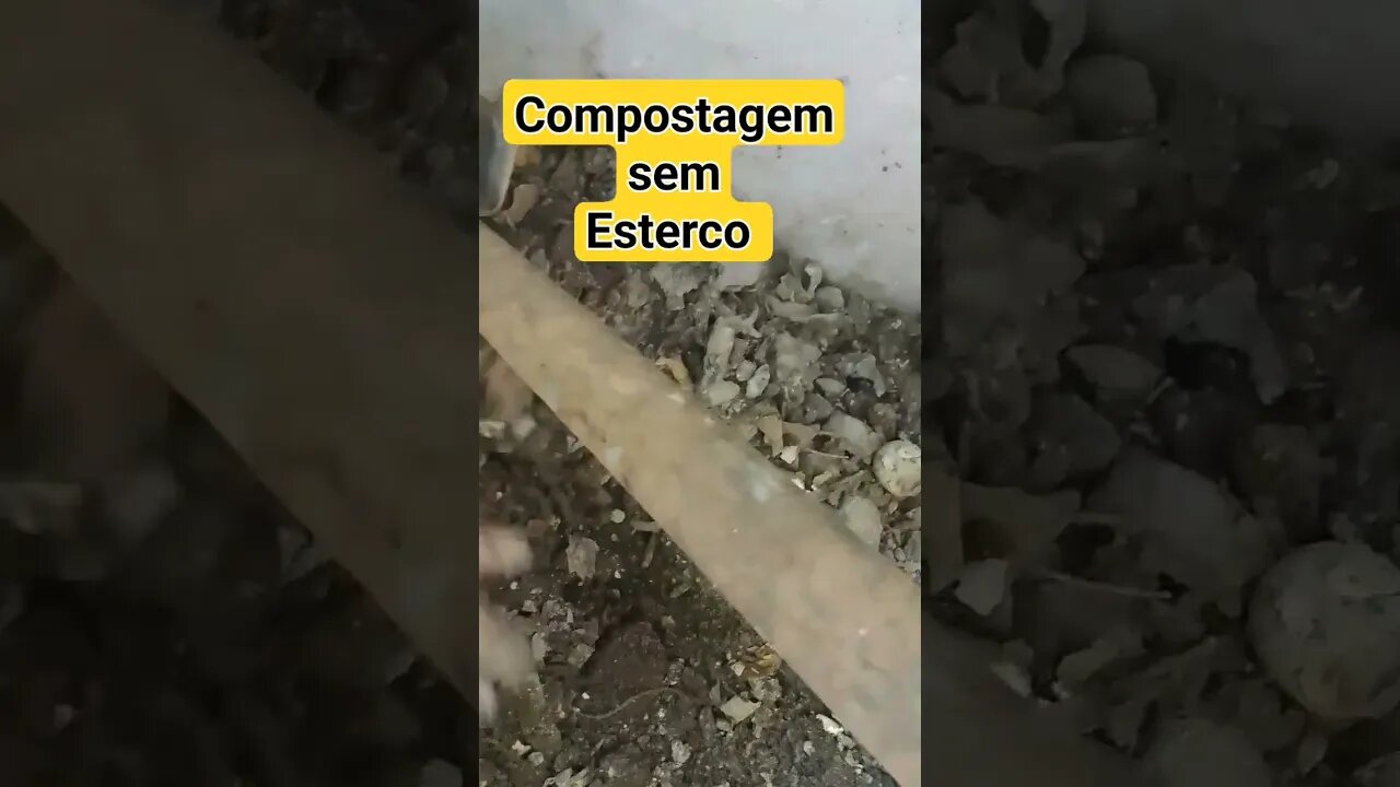 Compostagem simples como fazer(cem esterco animal)