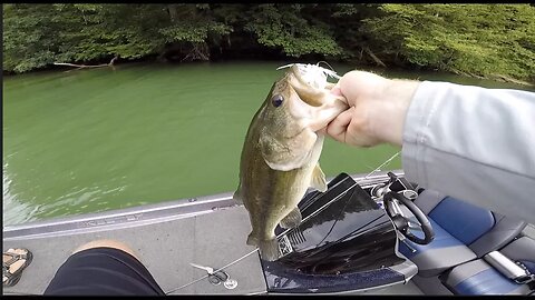 That was an UNEXPECTED Bass!