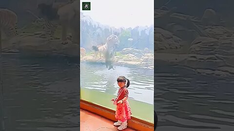 Tiger and Child Credits Unknown 🎥