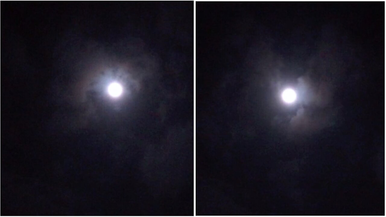 Shining Moon showed the black clouds who is the boss of the night sky