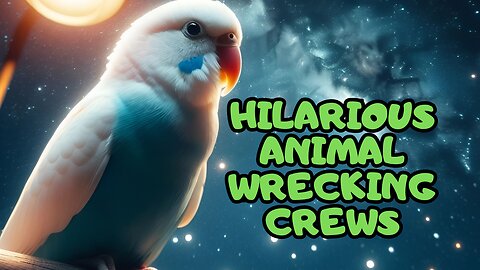 Hilarious Animal Wrecking Crews: A Fun Take on Nature's Mischief Makers!