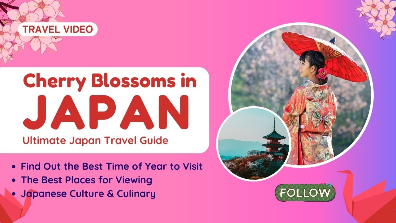 Cherry Blossoms in Japan ULTIMATE TRAVEL GUIDE | A Visual Journey | Asia | 2024