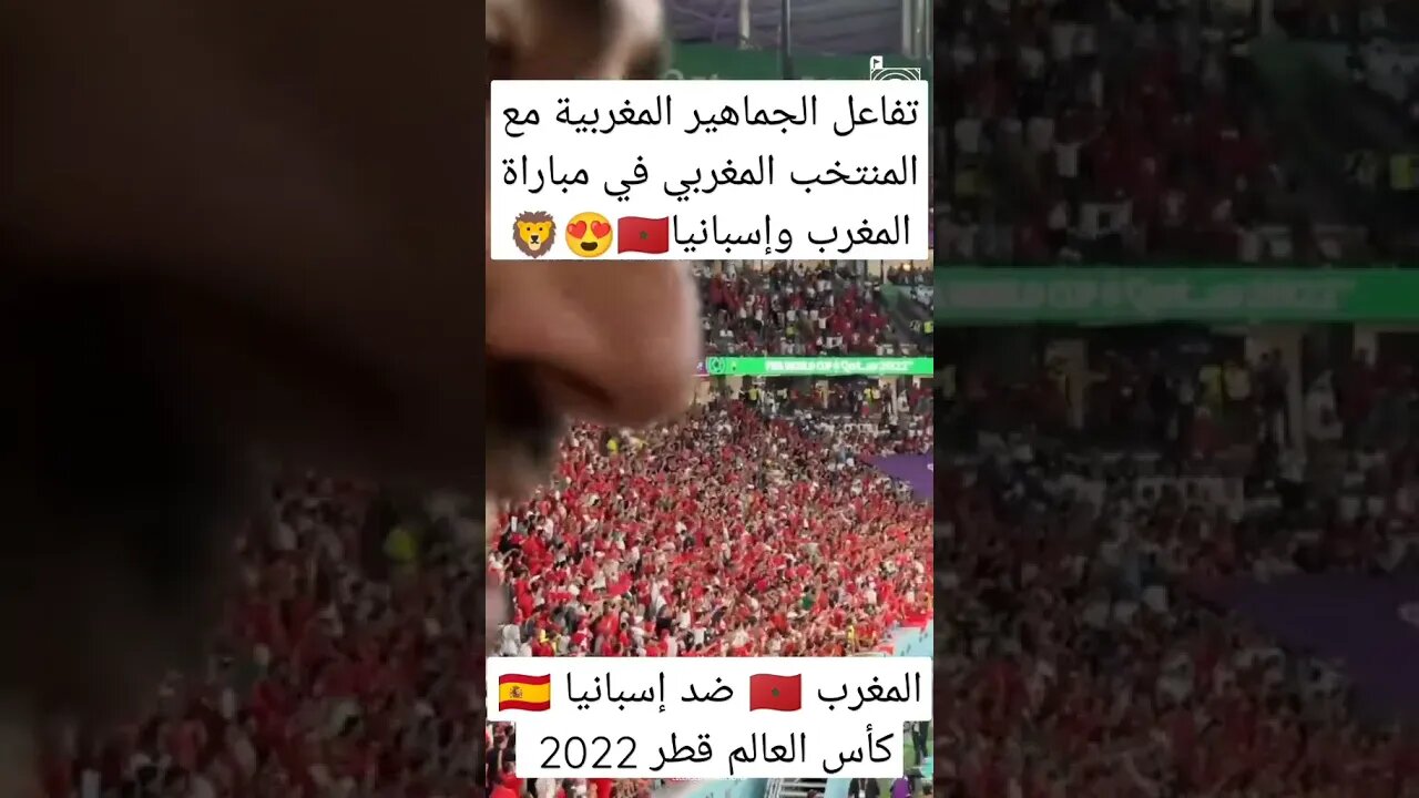 تفاعل وحماس الجماهير المغربية في مباراة إسبانيا