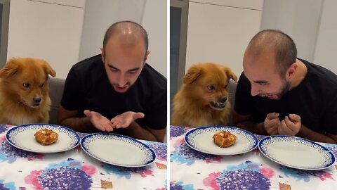 Feisty Aussie argues with owner don't touch my doughnuts
