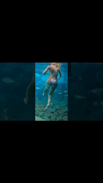 Real Mermaids Sailing the Bahamas 🧜🏼‍♀️