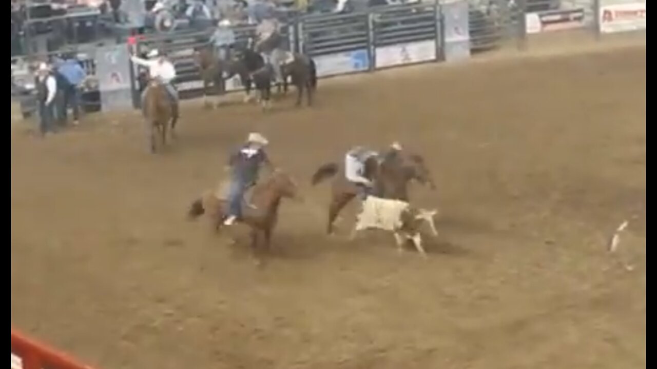 Rodeo