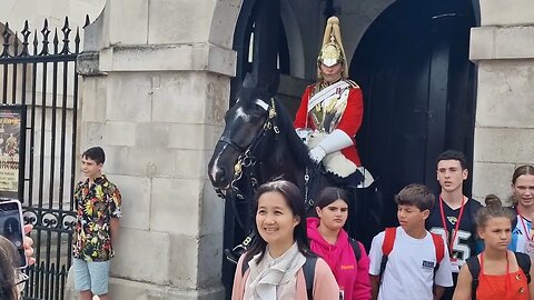 Tourist freaks out when horse touches her #horseguardsparade