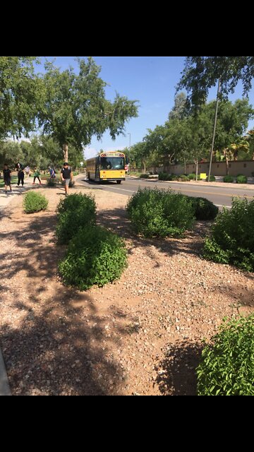 (164) 2007 Thomas Freightliner SAF-T-LINER HDX T210 leaving HS