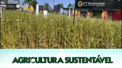 Agricultura Sustentável com Frederico Olivi