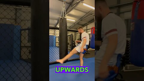 Legkick 101 - How to not get injured