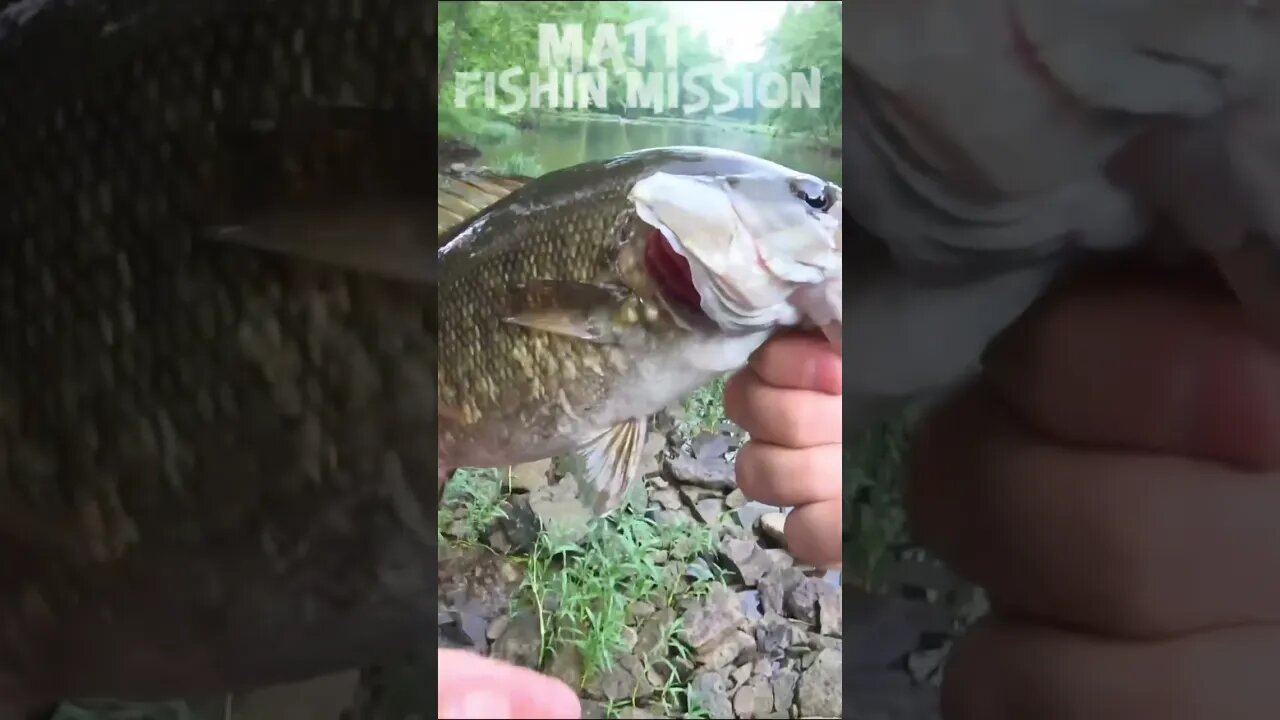 Creek fishing for bass!