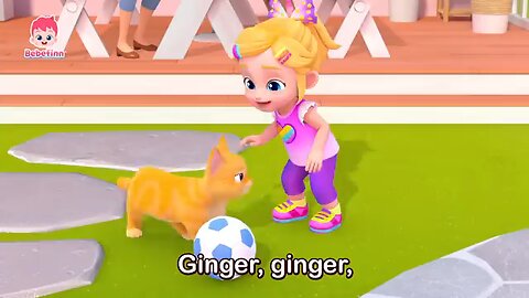 The Cat song 😻😻