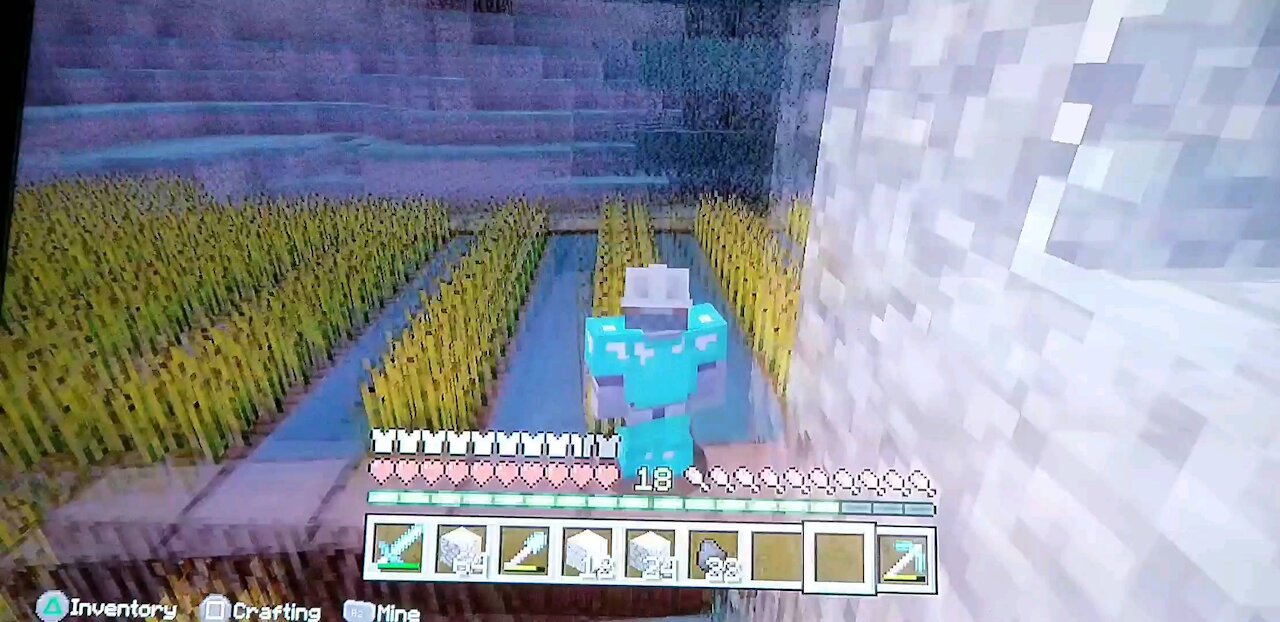 Minecraft SMP: The great wheat war