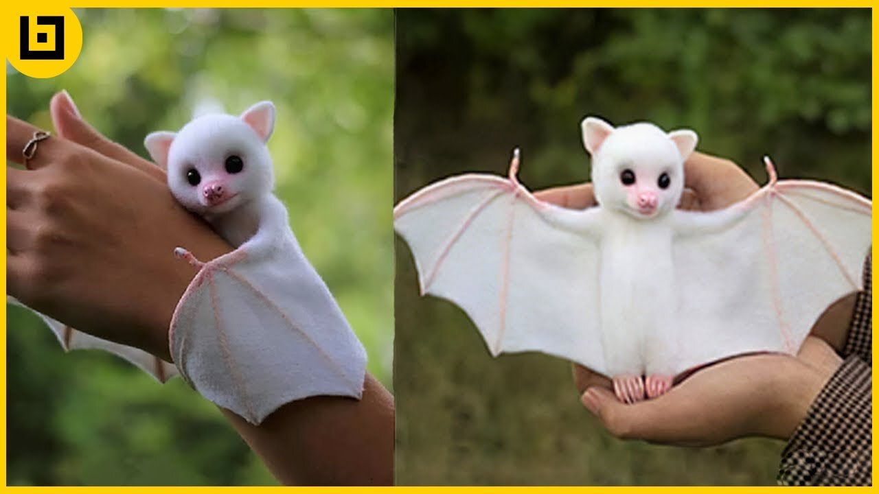 15 Cute Exotic Animals You Can Own as Pets