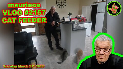 maurieos VLOG #2156 CAT FEEDER