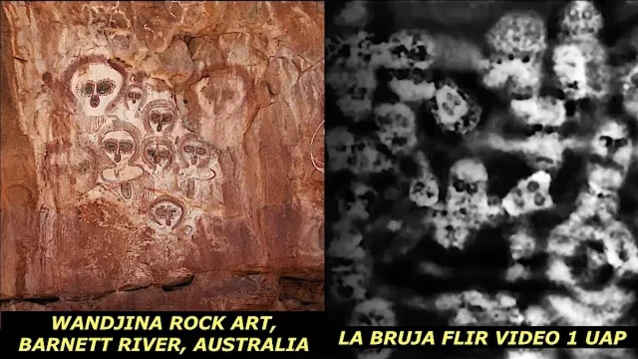 Breaking New Videos of UAP's Released, They Look Like Life Forms, Physicist Michael Boyd