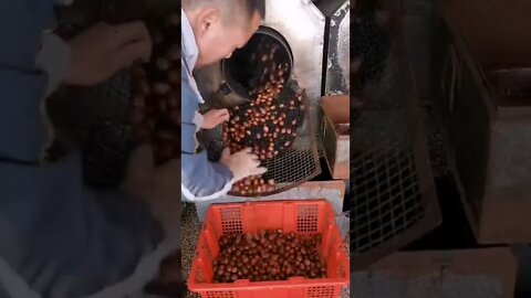 Nut Processing! #UpFoodReview #ytshorts #shorts #Food #Streetfood