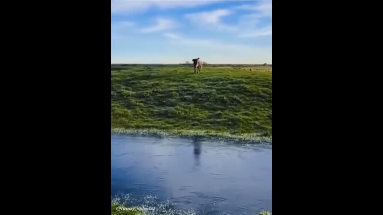 Funny moment caught on camera / try not to laugh 😂