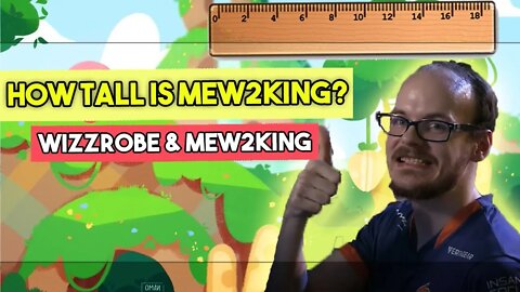 How tall is Mew2King? Wizzrobe and Mew2king Stream Highlights