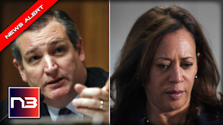 Kamala Harris Tries to Cover Up Border Crisis - Ted Cruz IMMEDIATELY Shuts her Down