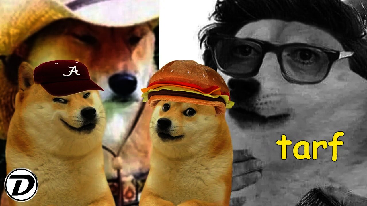 tarf (talking and recreational friendship time)