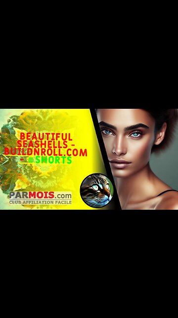 Beautiful Seashells - BuildNRoll.com - #shorts