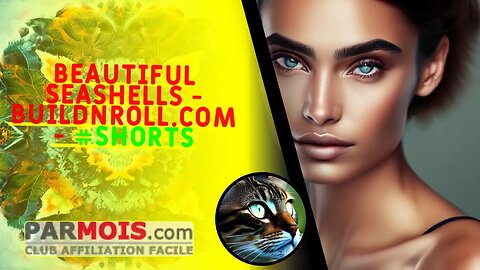 Beautiful Seashells - BuildNRoll.com - #shorts