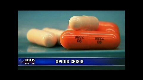 Rubio discusses the opioid epidemic and upcoming OAS vote with Fox's Good Day Tampa Bay