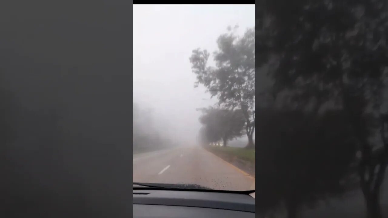#Fog In The #Morning #Til It #End