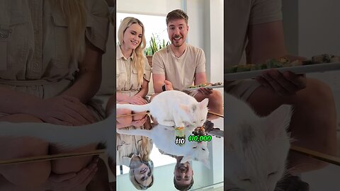 Feeding A Cat $10 Vs $10,000 Sushi - MrBeast Short Video 20