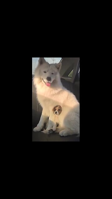 Settled in comfortably