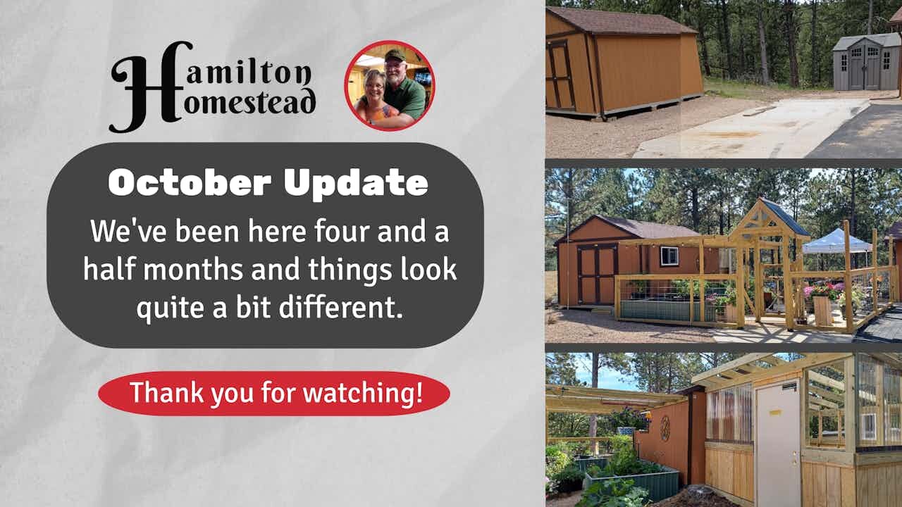October 1st Update - The weather is changing & so is the homestead!