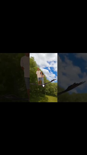 VOA A LIBERDADE.#shorts