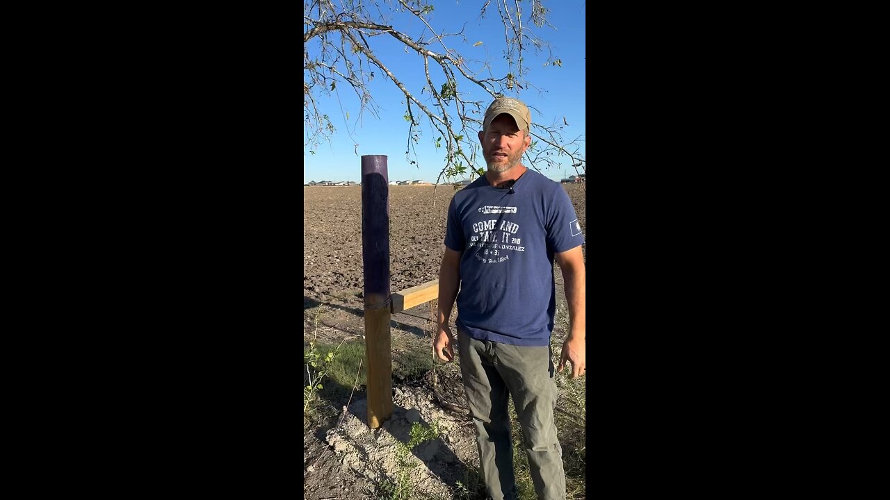 Purple Fence Posts?