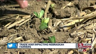 Trade War Impacting Farmers