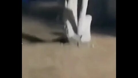 What is that following the boy?