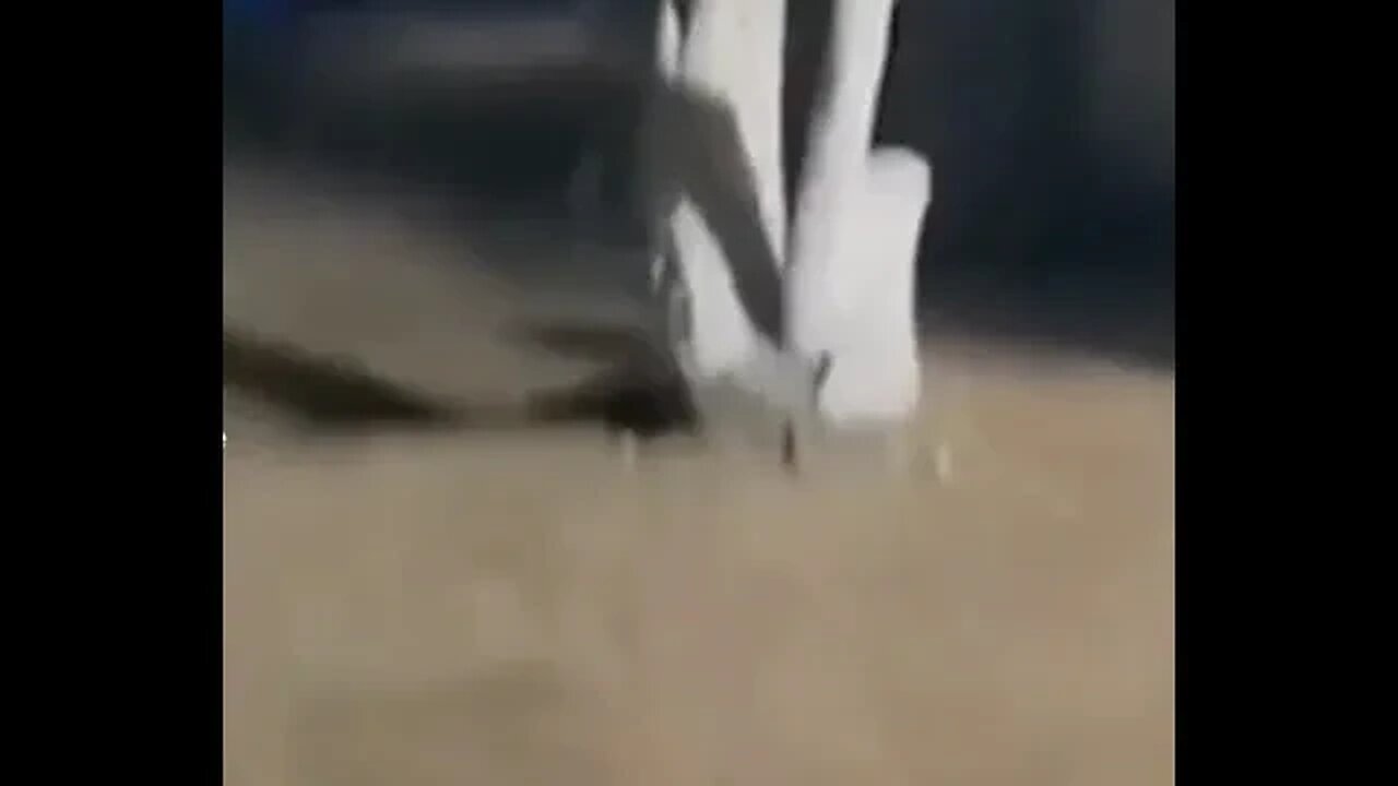 What is that following the boy?