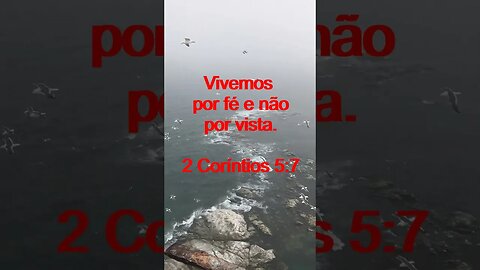 Verso Do Dia | Leitura Inspiradora Para Começar Seu Dia. | 50