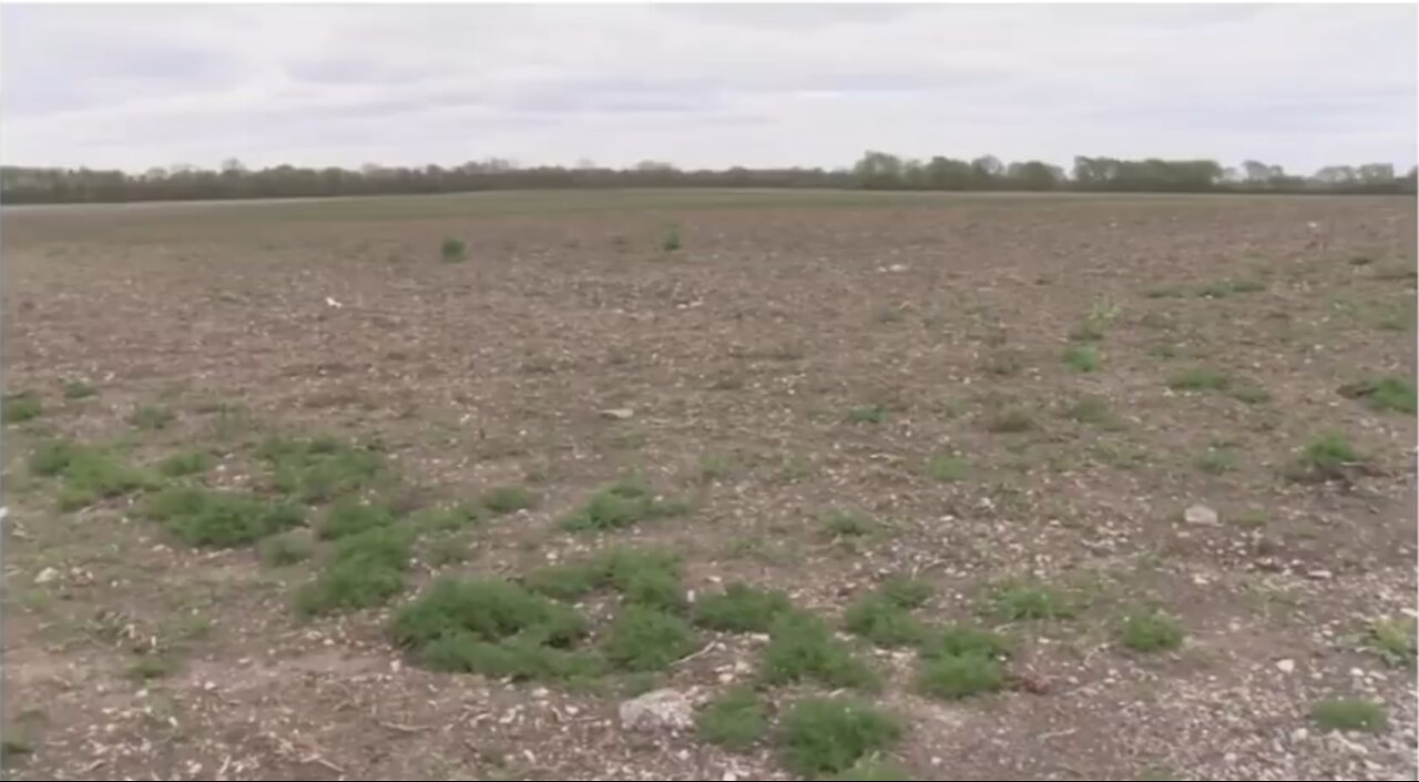 Food supply shutdown - deer, fish, pigs euthanised, crops not planted