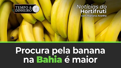 Procura pela banana na Bahia é maior por conta da qualidade