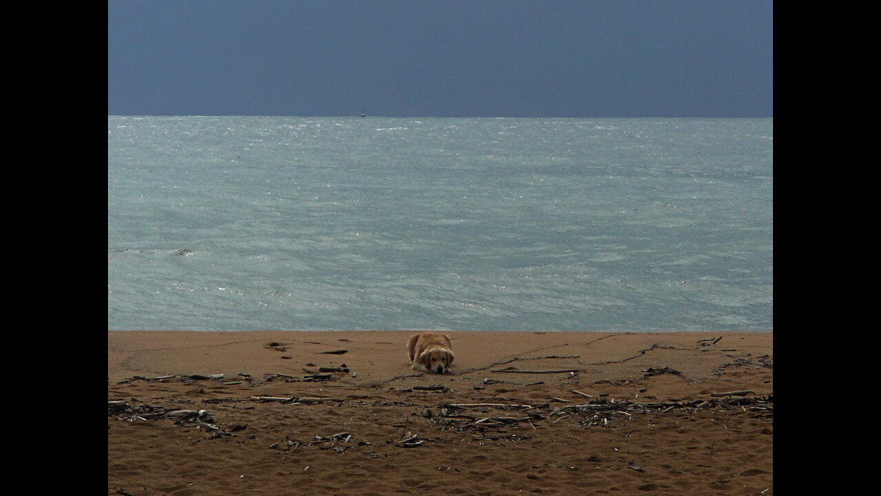 Fighting Covid on the island of Kauai