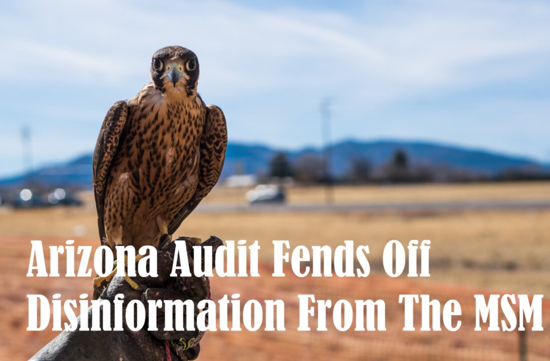 Arizone Audit Fends Off Disinformation From The MSM