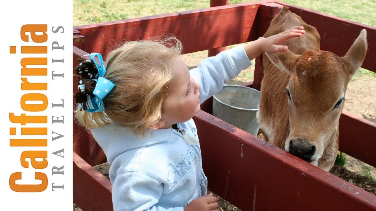 Amy's Farm Tour | California farm tours | California Travel Tips