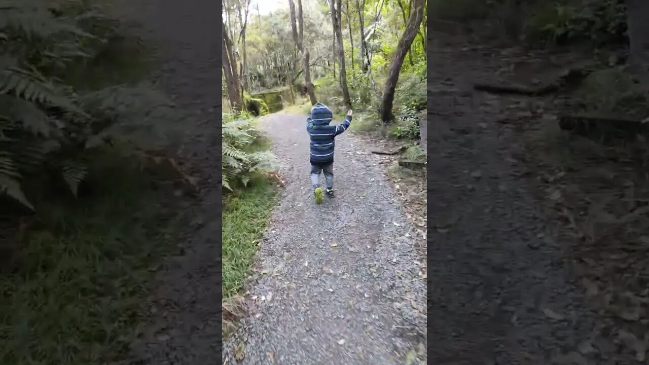 My three year old son