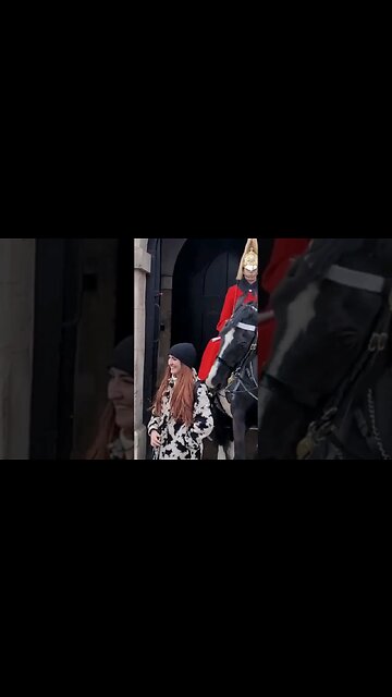 Horse bites back of tourists #horseguardsparade